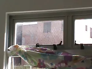 Tyla clean cuarto de ...